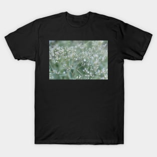 White gypsophila flowers in the garden T-Shirt